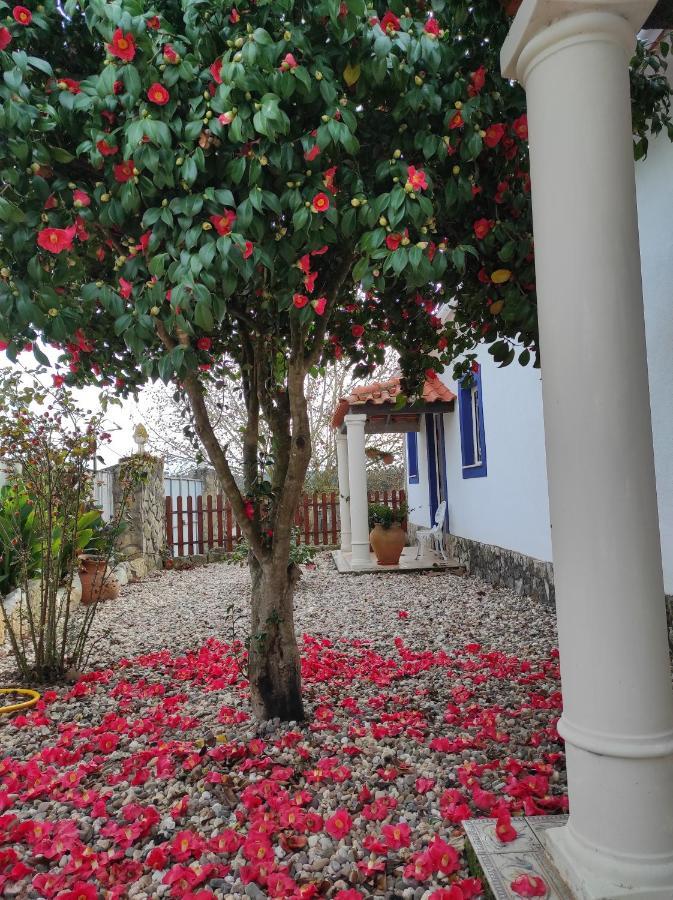 Fazenda Do Marante Vandrerhjem Tomar Eksteriør bilde