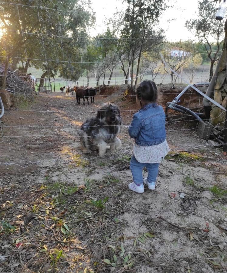 Fazenda Do Marante Vandrerhjem Tomar Eksteriør bilde