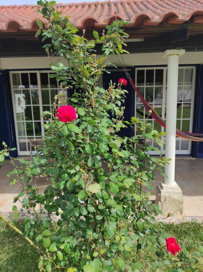 Fazenda Do Marante Vandrerhjem Tomar Eksteriør bilde